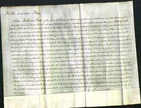 Court of Common Pleas - Sarah Adelaide Morgan-Original Ancestry