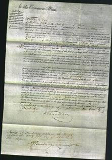 Court of Common Pleas - Anne Goldney-Original Ancestry