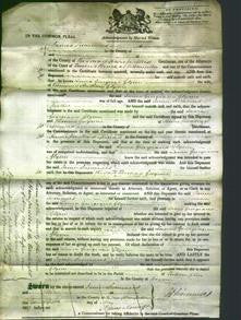 Court of Common Pleas - Laura Georgiana Glynn