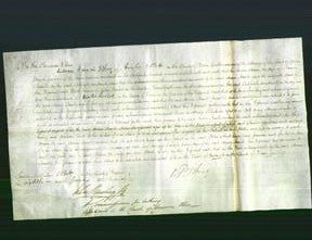 Court of Common Pleas - Anna Stawell-Original Ancestry