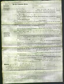 Court of Common Pleas - Jane Park-Original Ancestry