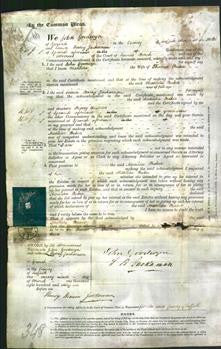 Court of Common Pleas - Matilda Baker-Original Ancestry