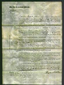 Court of Common Pleas - Elizabeth Gylby-Original Ancestry