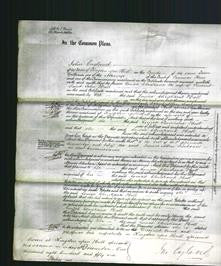 Court of Common Pleas - Louisa Christiana Hall-Original Ancestry