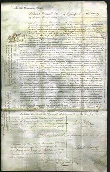 Court of Common Pleas - Mary Ann Rosevear and Jane Thompson-Original Ancestry