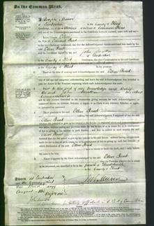 Court of Common Pleas - Ellen Read-Original Ancestry