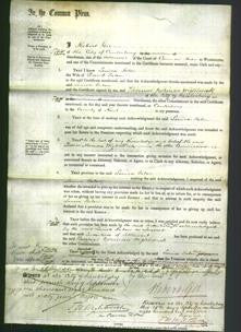 Court of Common Pleas - Louisa Paton-Original Ancestry