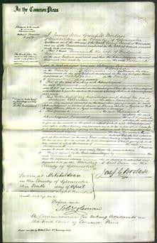Court of Common Pleas - Susannah Malson-Original Ancestry
