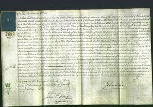 Court of Common Pleas - Rebecca Witt-Original Ancestry