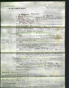 Court of Common Pleas - Priscilla Hinson-Original Ancestry