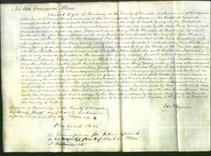 Court of Common Pleas - Mary Young-Original Ancestry