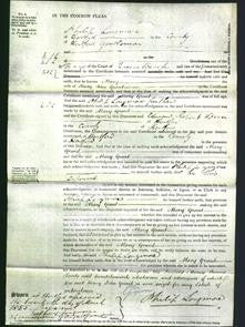 Court of Common Pleas - Mary Grant-Original Ancestry