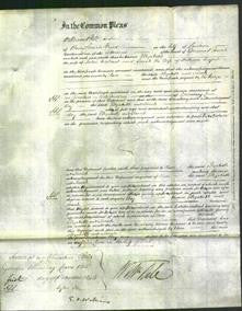 Court of Common Pleas - Elizabeth Calvert and Sarah Cupit-Original Ancestry