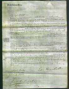 Court of Common Pleas - Elizabeth Mullins-Original Ancestry
