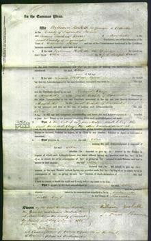 Court of Common Pleas - Ellen Onell-Original Ancestry