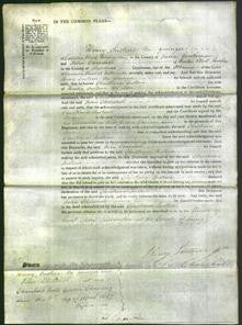 Court of Common Pleas - Christiana Instone-Original Ancestry