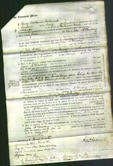 Court of Common Pleas - Jane McMurray-Original Ancestry