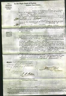 Court of Common Pleas - Mary Ann Wells-Original Ancestry