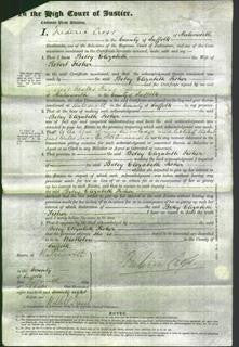 Court of Common Pleas - Betsy Elizabeth Fisher-Original Ancestry