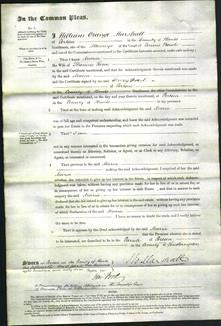 Court of Common Pleas - Maria Rowe-Original Ancestry