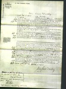 Court of Common Pleas - Elizabeth Hedges, Anne Hemmings and Mary Harris-Original Ancestry