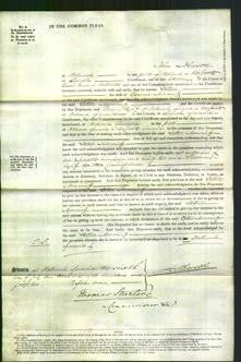 Court of Common Pleas - Esther Moucriett-Original Ancestry