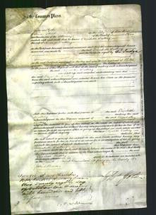 Court of Common Pleas - Elizabeth Buttery-Original Ancestry