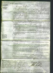 Court of Common Pleas - Maria Webb-Original Ancestry