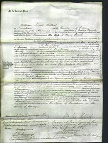 Court of Common Pleas - Marianne Smith-Original Ancestry