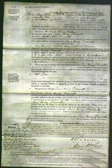 Court of Common Pleas - Jane Mary Fawcett-Original Ancestry