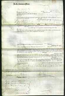 Court of Common Pleas - Isabella Brown-Original Ancestry