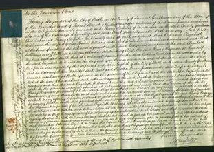 Court of Common Pleas - Elizabeth Williams-Original Ancestry