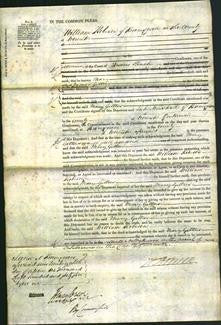 Court of Common Pleas - Mary Gittus-Original Ancestry