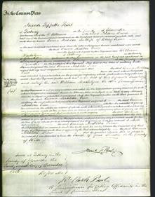 Court of Common Pleas - Emma Matilda Trou-Original Ancestry