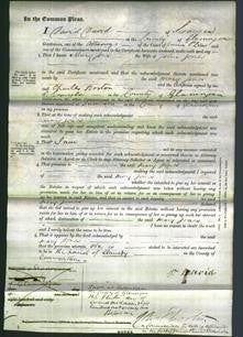 Court of Common Pleas - Mary Jones-Original Ancestry