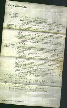 Court of Common Pleas - Louisa Elizabeth Fraser-Original Ancestry