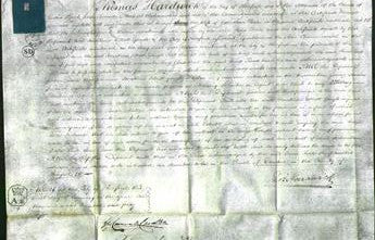 Court of Common Pleas - Jane Reece-Original Ancestry
