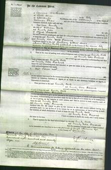 Court of Common Pleas - Emily Cook and Emily Ada Peacock-Original Ancestry