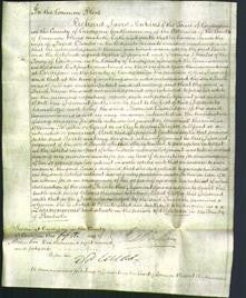 Court of Common Pleas - Sarah Charles-Original Ancestry