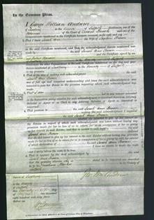 Court of Common Pleas - Sarah Ann Brown-Original Ancestry