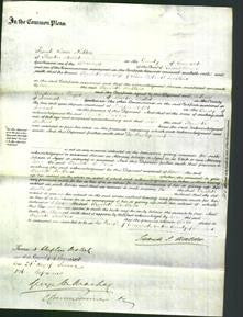 Court of Common Pleas - Elizabeth Mullins-Original Ancestry