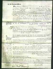 Court of Common Pleas - Lavinia Rowland-Original Ancestry