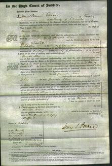 Court of Common Pleas - Pamela Allen-Original Ancestry