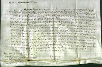 Court of Common Pleas - Mary Higginbotham-Original Ancestry