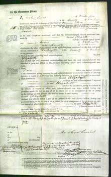 Court of Common Pleas - Elizabeth Hanson-Original Ancestry