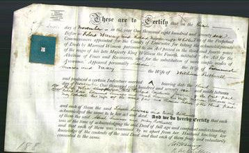 Deed by Married Women - Sarah Sumner and Mary Rothwell-Original Ancestry