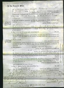 Court of Common Pleas - Maria Dyneley Baynes-Original Ancestry