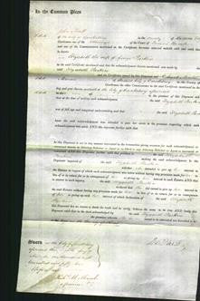 Court of Common Pleas - Elizabeth Parkin-Original Ancestry