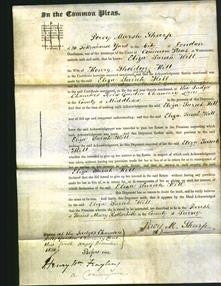 Court of Common Pleas - Eliza Sarah Hill-Original Ancestry