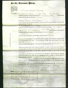 Court of Common Pleas - Sarah Paull-Original Ancestry